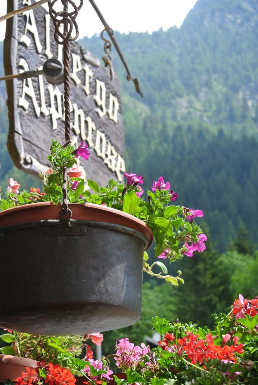 Albergo Alpenrose Ski&Bike Mountain Hotel Gressoney-Saint-Jean Exterior foto